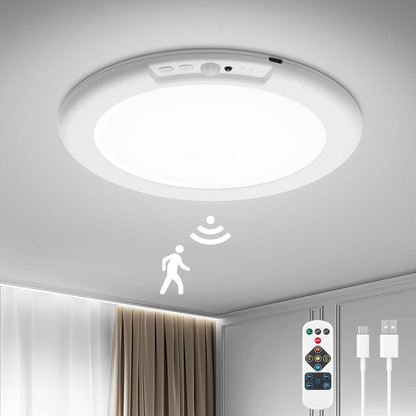 Alori Motion Sensor Ceiling Light