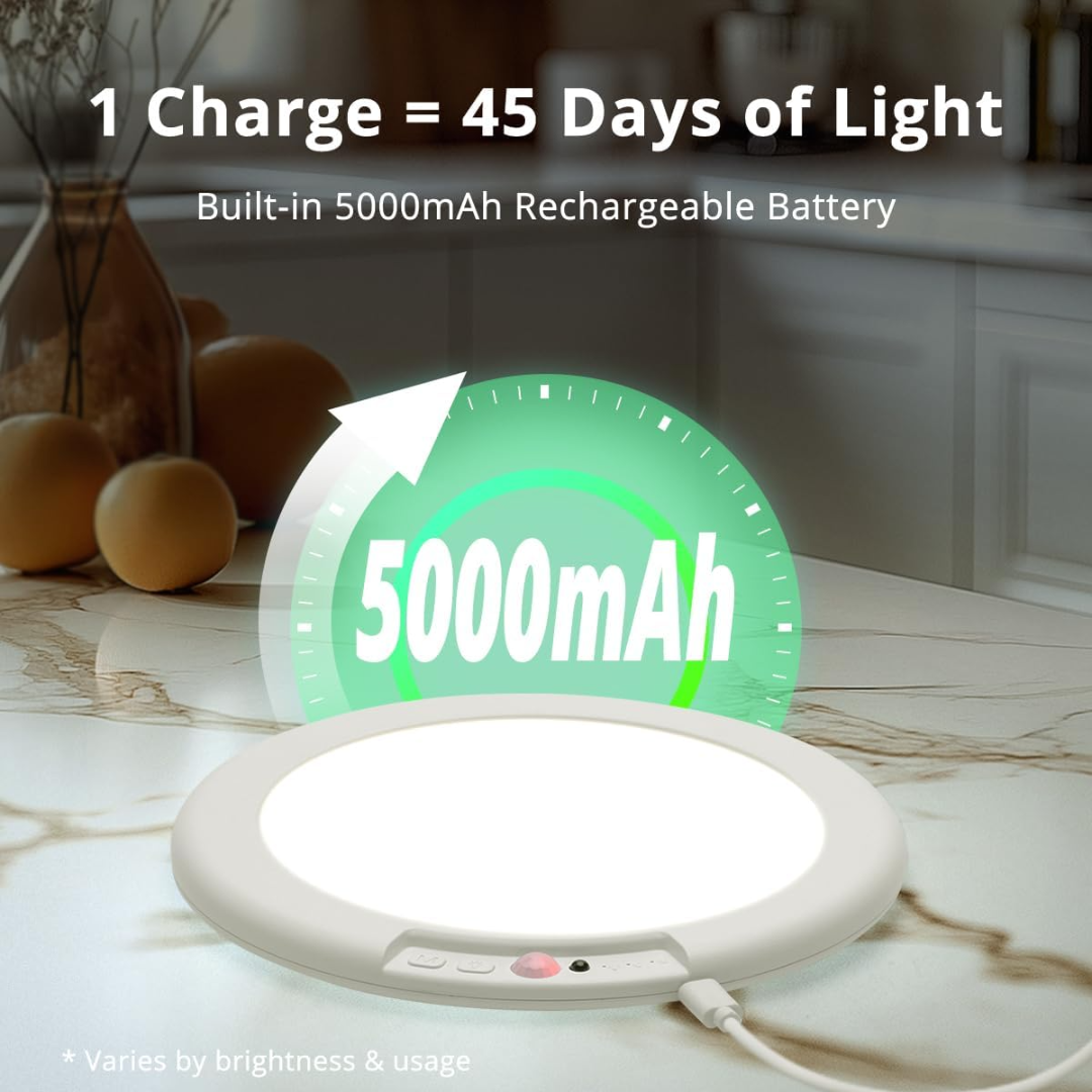 Alori Motion Sensor Ceiling Light