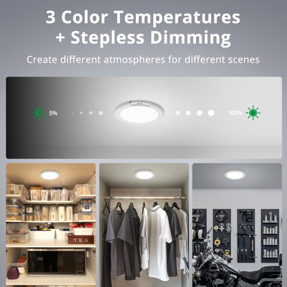 Alori Motion Sensor Ceiling Light